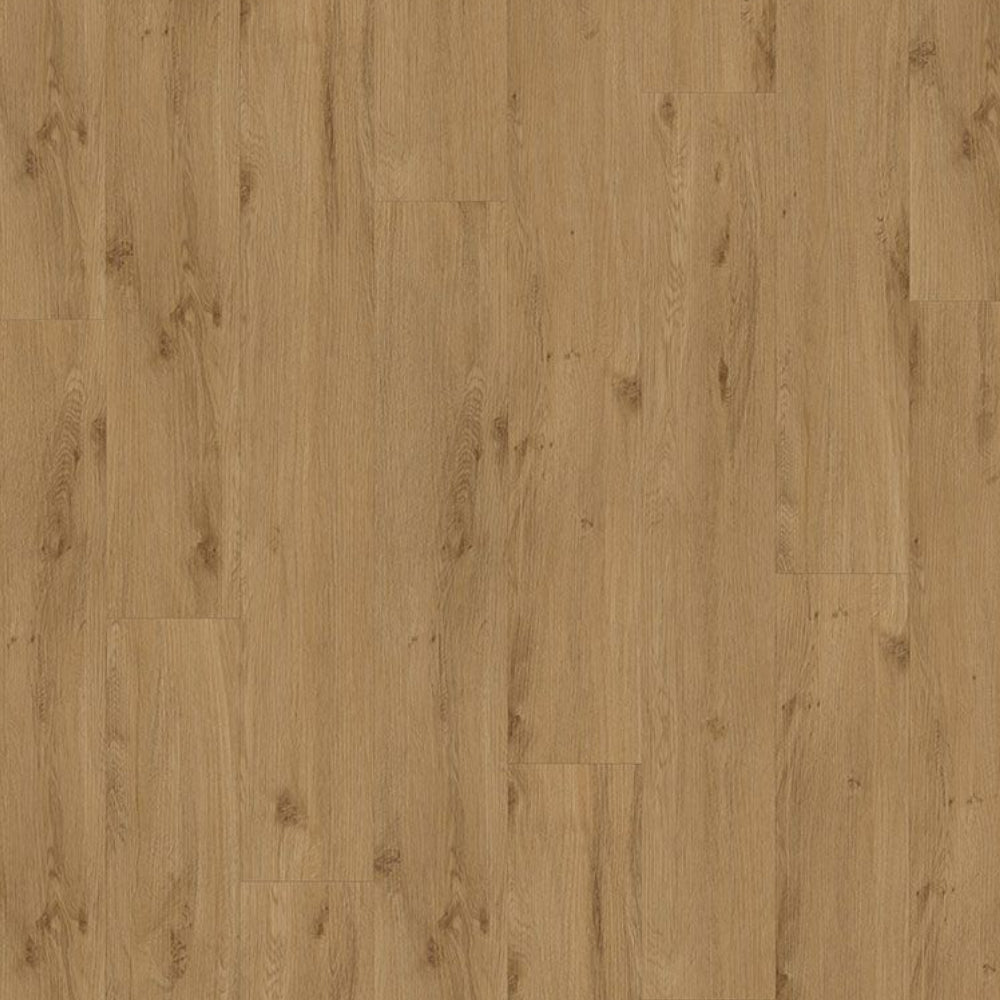 Klebe-Vinyl Julius Eiche