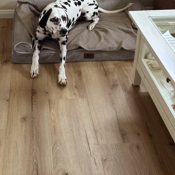 Klebe-Vinyl Risseiche Wangerooge